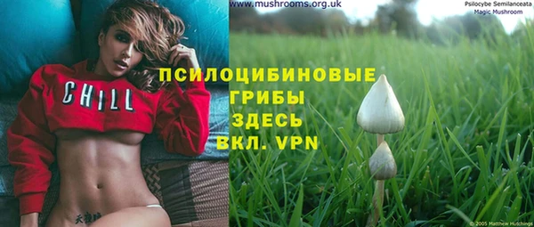 ГАЛЛЮЦИНОГЕННЫЕ ГРИБЫ Кулебаки