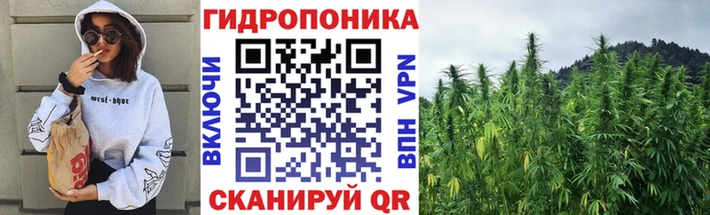 Канабис индика  Пойковский 